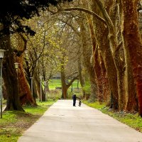 30 марта :: Юрий. Шмаков