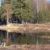 Вид на пруд. Лейка. :: Михаил Елочкин