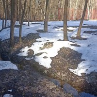 Таяние снегов :: Татьяна Тюменка