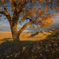 Осенний Дагестан :: Анатолий Гордиенко