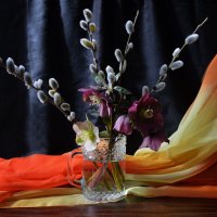 *** :: Надежда Куркина 