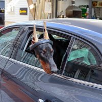 Стамбул :: skijumper Иванов