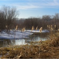Весенний этюд :: Валентин Котляров