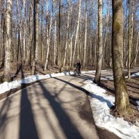 Хорош был март! :: Андрей Лукьянов