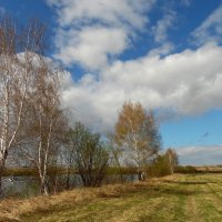 Таким бывает месяц май. :: nadyasilyuk Вознюк