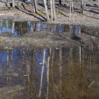 Последний день марта :: Валерий Иванович Последний день марта :: Валерий Иванович