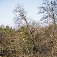 У водоёма :: Michel 