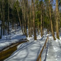 Тропинка на родник :: Сергей Цветков