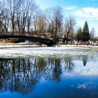 Весенний парк. :: Милешкин Владимир Алексеевич 