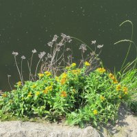 В парке - Радуга :: Елена Шаламова В парке - Радуга :: Елена Шаламова