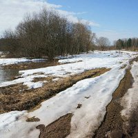 Последний снег в долине Протвы :: Сергей Курников
