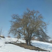 Ак Булак. Талгар. :: Murat Bukaev Ак Булак. Талгар. :: Murat Bukaev