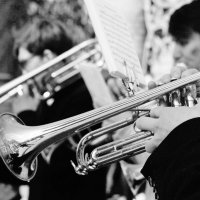 /// :: Виктор Никитенко