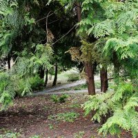 Март, ландшафтный парк, Калининград :: Рита Симонова