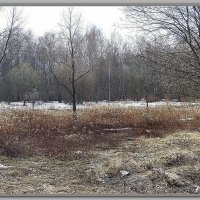 Весенне-снежный сюжет :: Владимир Попов