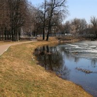 Весенний день, 29марта :: ZNatasha -