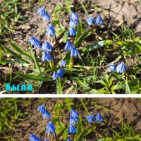 Обработка. :: Борис Калитенко