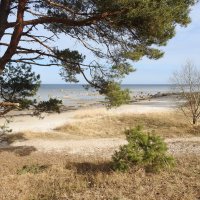 весна :: ИННА ПОРОХОВА