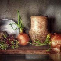 Выскочка....тот что в центре!   У каждого овоща -своё настроение. :: TAMARA КАДАНОВА