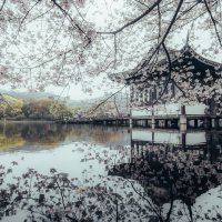 Отражение :: Дмитрий Отражение :: Дмитрий