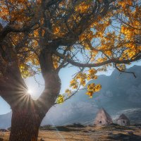 оберегающие вечность :: Сергей Попрошаев