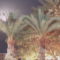 14  КЛОС (67) :: СТРЕН 