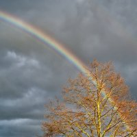 Радуга дуга, кусочек ... :: Jakob Dick Радуга дуга, кусочек ... :: Jakob Dick