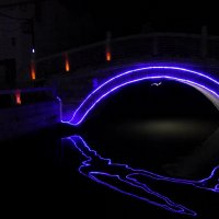 Пролёт летучей мыши под ночным мостом на реке Сучжоухэ :: Elias 69