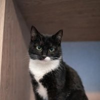 *** :: Андрей Л. В. *** :: Андрей Л. В.