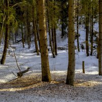 Кто тут насорил? :: Сергей Цветков Кто тут насорил? :: Сергей Цветков