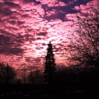 Красивый вечер :: Людмила Смородинская
