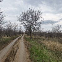 Дорога уходящая вдаль :: Мариша Тим