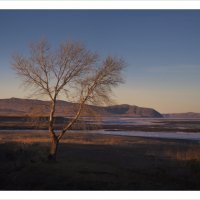 * :: Александр Иванов