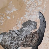 ВЗЫВАЯ К НЕБЕСАМ :: Юрий Вовк