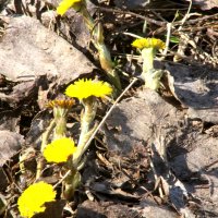 Прогулка по Яузе :: олег свирский 