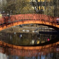 Отражение :: Наталья Вязигина