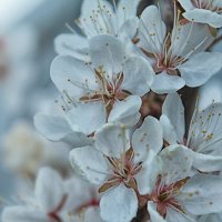 ... :: Наталья 