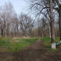 Весна уже  на всю красу :: Вячеслав Коломойцев