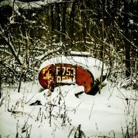 ЛЕСНАЯ ИСТОРИЯ :: HART BAD