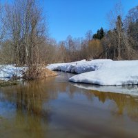 Солнечно и прекрасно на душе! :: Алена 