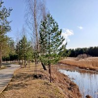 Из прогулок в марте :: Лия ☼ Из прогулок в марте :: Лия ☼