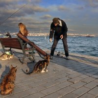 Рыбаки :: skijumper Иванов