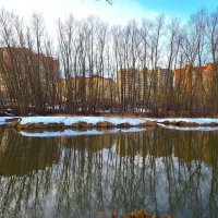 Яуза :: Наталья 