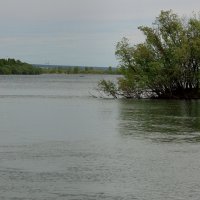 Большая вода. :: nadyasilyuk Вознюк