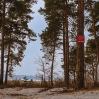 Не ходи. :: Николай 