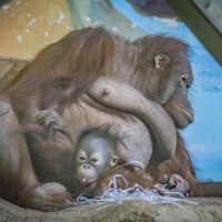 С мамой Мишель. :: Аркадий Лаптенко