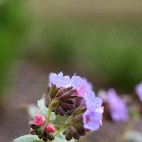 У реки. :: Александр Кондаков У реки. :: Александр Кондаков