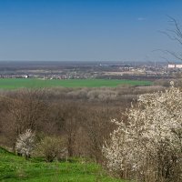Окрестности города Армавир :: Игорь Сикорский