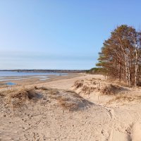 Дюны :: Лия ☼