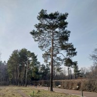 Ботанический сад. :: Murat Bukaev 